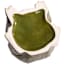 Honeybloom Indoor Green Ceramic Frog Pot, Medium