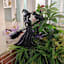 Spellbound Witch & Cat Yardstake, 24"
