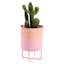 Oh Joy! Two Toned Planter Stand, 10"