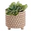 Found & Fable Indoor Studded Tan Planter, Medium