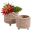 Found & Fable Indoor Studded Tan Planter, Medium