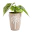 Found & Fable Indoor Ceramic Palm Tree Planter, 9"