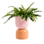 Oh Joy! Two Toned Warm Metal Planter Stand, 13"