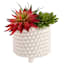 Found & Fable Indoor Studded White Planter, Medium
