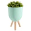 Sunny Club Green Planter, 16"