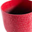 Sunny Club Red Planter, 16"