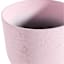 Sunny Club Pink Planter, 16"