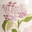 Providence Indoor Flower Ceramic Planter, 8"