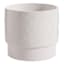 Providence Indoor Ceramic Dragonfly Planter, Medium