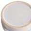 Providence Indoor Ceramic Dragonfly Planter, Medium
