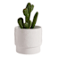 Providence Indoor Ceramic Dragonfly Planter, Medium