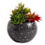 Crosby St. Indoor Black Terrazzo Cement Planter, 8"