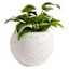 Crosby St. Indoor White Terrazzo Cement Planter, 12"