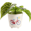 Sunny Club Indoor Bicycle Print Planter, 6"