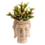 Found & Fable Indoor Gold Buddha Planter, 12"