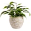 Honeybloom Indoor Pink Planter, 7"