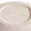 Crosby St. Indoor Sawyer Ceramic Planter, Medium