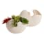 Crosby St. Indoor Sawyer Ceramic Planter, Medium