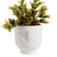 Crosby St. Indoor Face Ceramic Garden Planter, Medium