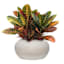 Matte Cream with Dots Ceramic Vase, 8.1x14.2