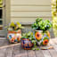 Hand Painted Talavera Multicolor Patterned Ceramic Outdoor Planter, Medium