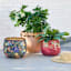 Terracotta Rope Outdoor Planter, Large