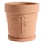 Honeybloom Indoor Terracotta Dragonfly Pot, Medium