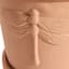 Honeybloom Indoor Terracotta Dragonfly Pot, Medium