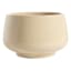 Honeybloom Indoor Ivy Beige Ceramic Planter, Large