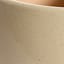 Honeybloom Indoor Ivy Beige Ceramic Planter, Large