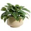 Honeybloom Indoor Ivy Beige Ceramic Planter, Large