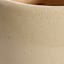 Honeybloom Indoor Ivy Beige Ceramic Planter, Medium
