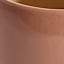 Honeybloom Indoor Ivy Clay Ceramic Planter, Large
