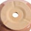 Honeybloom Indoor Ivy Clay Ceramic Planter, Medium