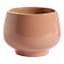 Honeybloom Indoor Ivy Clay Ceramic Planter, Small