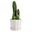 Providence Eloise White Ceramic Indoor Planter, Medium