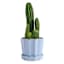 Providence Eloise Blue Ceramic Indoor Planter, Medium