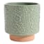 Honeybloom Indoor Cassia Green Flower Planter, 7"