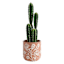 Honeybloom Indoor Pink Embossed Flower Planter, 7"