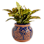 Hand Painted Cobalt Terra Outdoor Planter, Small