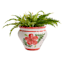 Hand Painted Spanish Red Floral Outdoor Planter, Medium