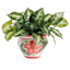 Hand Painted Spanish Red Floral Outdoor Planter, Small