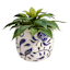 Indoor Chrysanthemum Planter, Medium