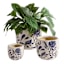 Indoor Chrysanthemum Planter, Medium