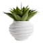 Found & Fable Indoor Eleni Synthetic Planter, Medium