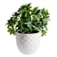 Providence Isabella White Outdoor Planter, Large