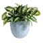 Providence Isabella Blue Outdoor Planter, Medium