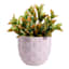 Providence Isabella Light Purple Outdoor Planter, Small