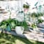 Providence Metal Dragonfly Garden Trellis, 32"