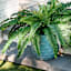 Providence Isabella Blue Outdoor Planter, Medium